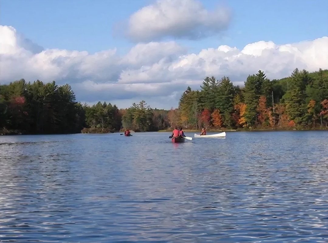 Two boats are in the water near a forest.