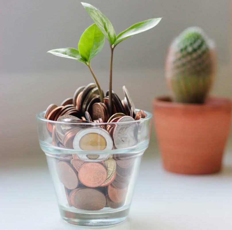 A glass cup with coins and plants in it.