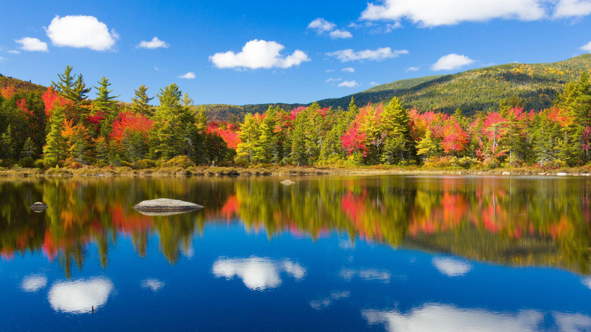 A body of water with trees in the background