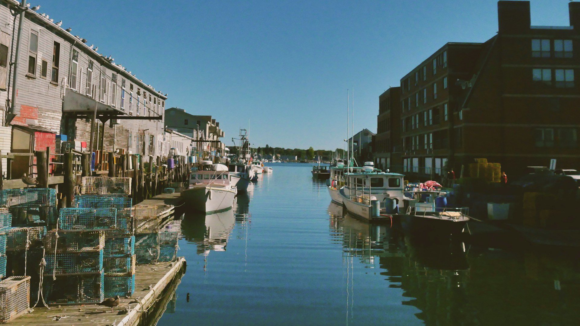 Dockside in Maine
