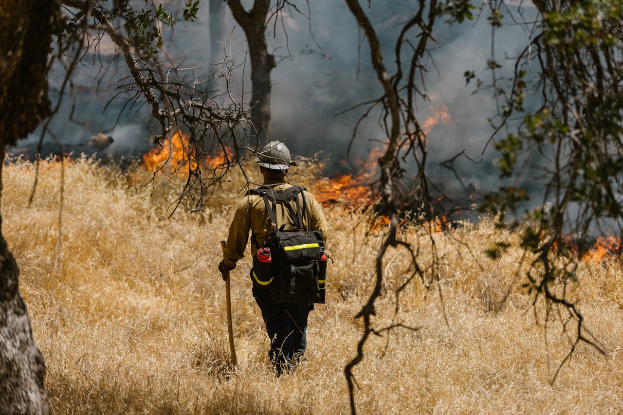 Hotshot Crews Fighting Forest Fires