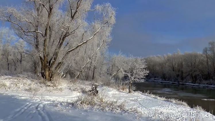 NH Winter Scene