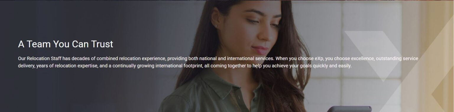 A focused woman working on a laptop, highlighting professional services.