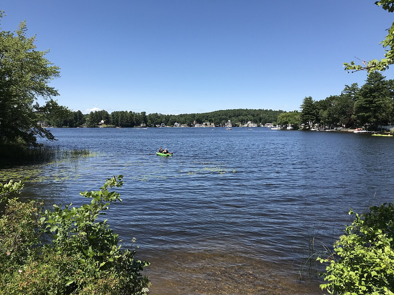 A calm lake with greenery and clear blue sky.