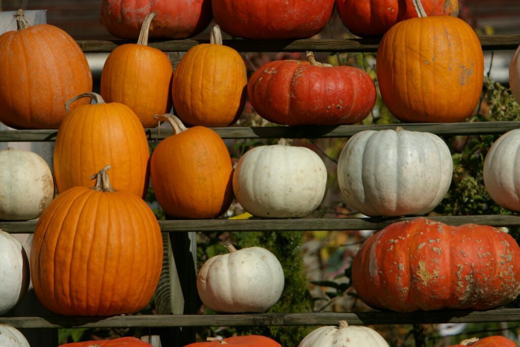 Keene NH Pumpkin Festival